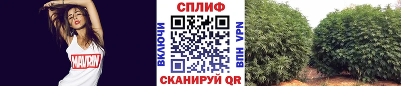 МАРИХУАНА конопля  ОМГ ОМГ ONION  Киржач 